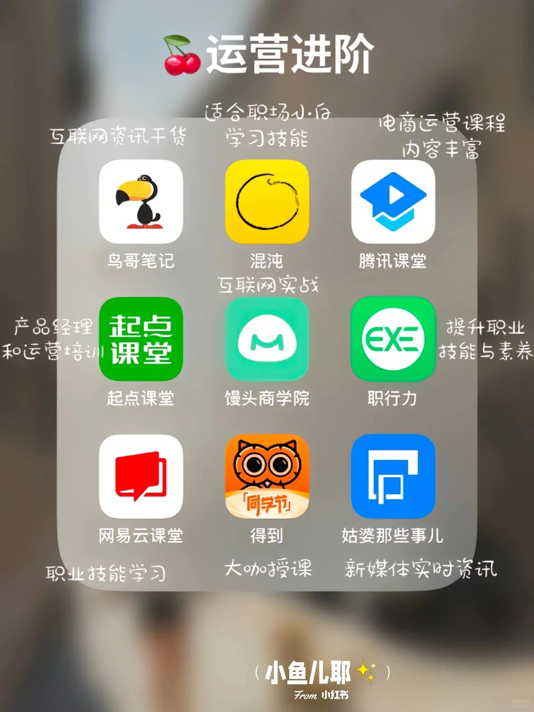 72款自媒体App?都来做小红书搞钱吧‼️