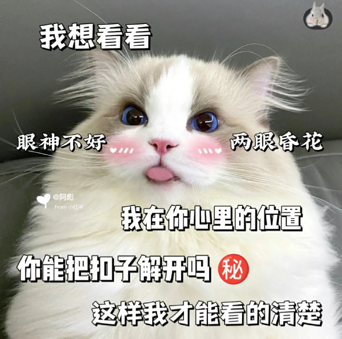 猫咪表情包?我想看看在你心里的位置