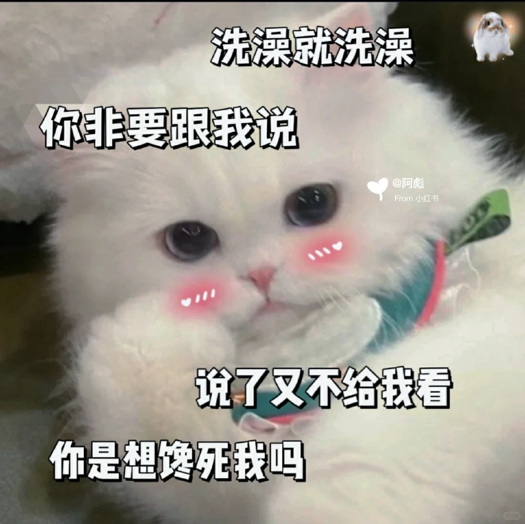 猫咪表情包?我想看看在你心里的位置