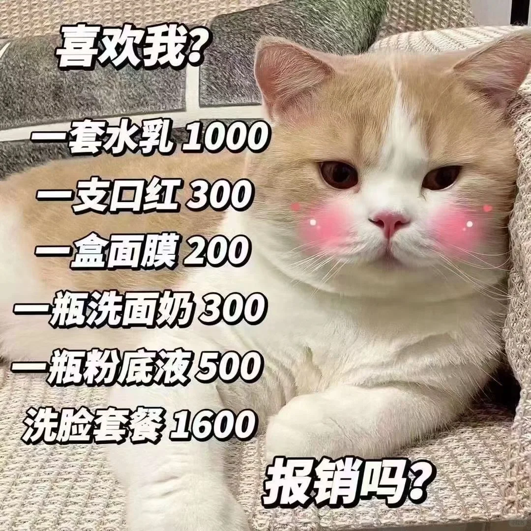 猫咪表情包太可爱了吧