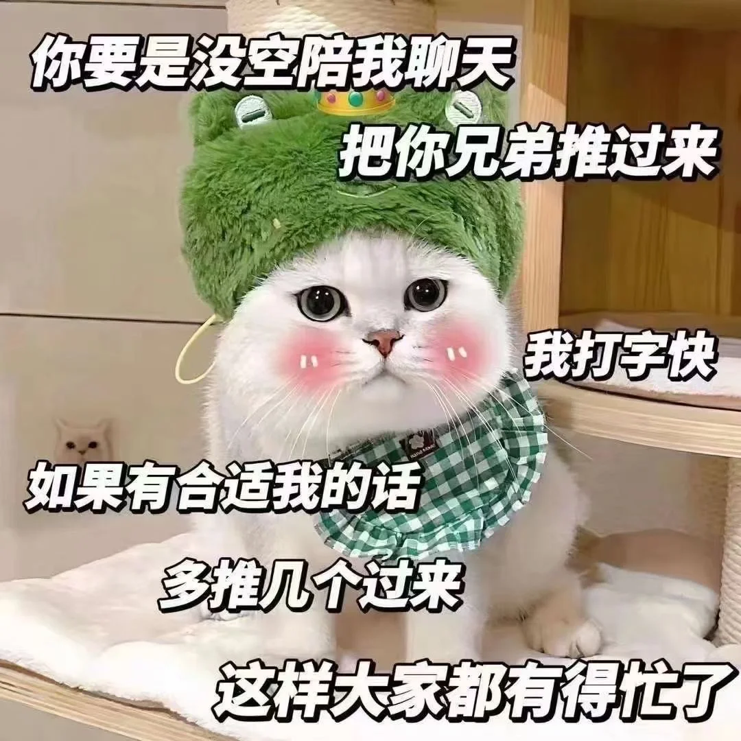 猫咪表情包太可爱了吧