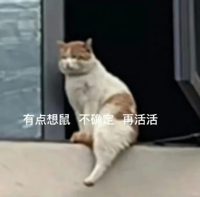 猫猫表情包（乱七八糟）