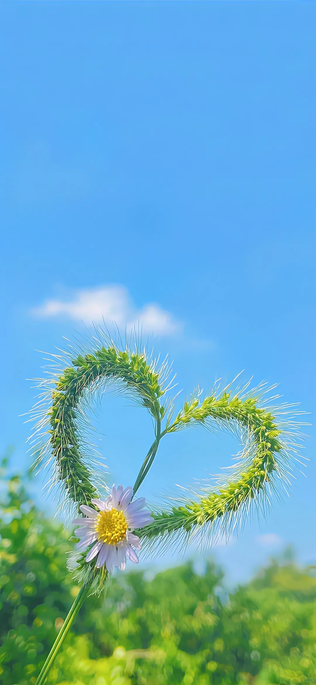 好看的壁纸更新啦 ​​​