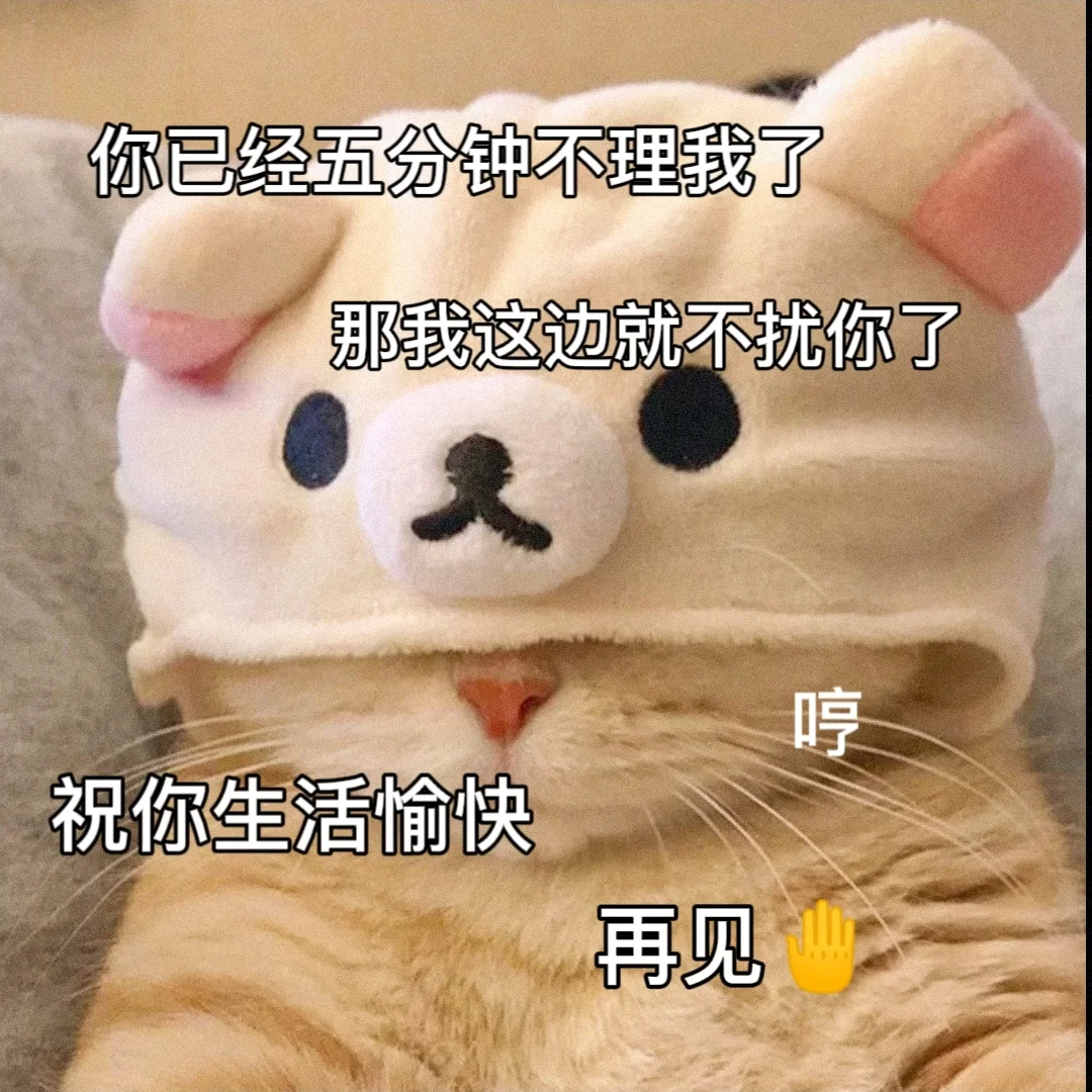 敲可爱的猫咪表情包