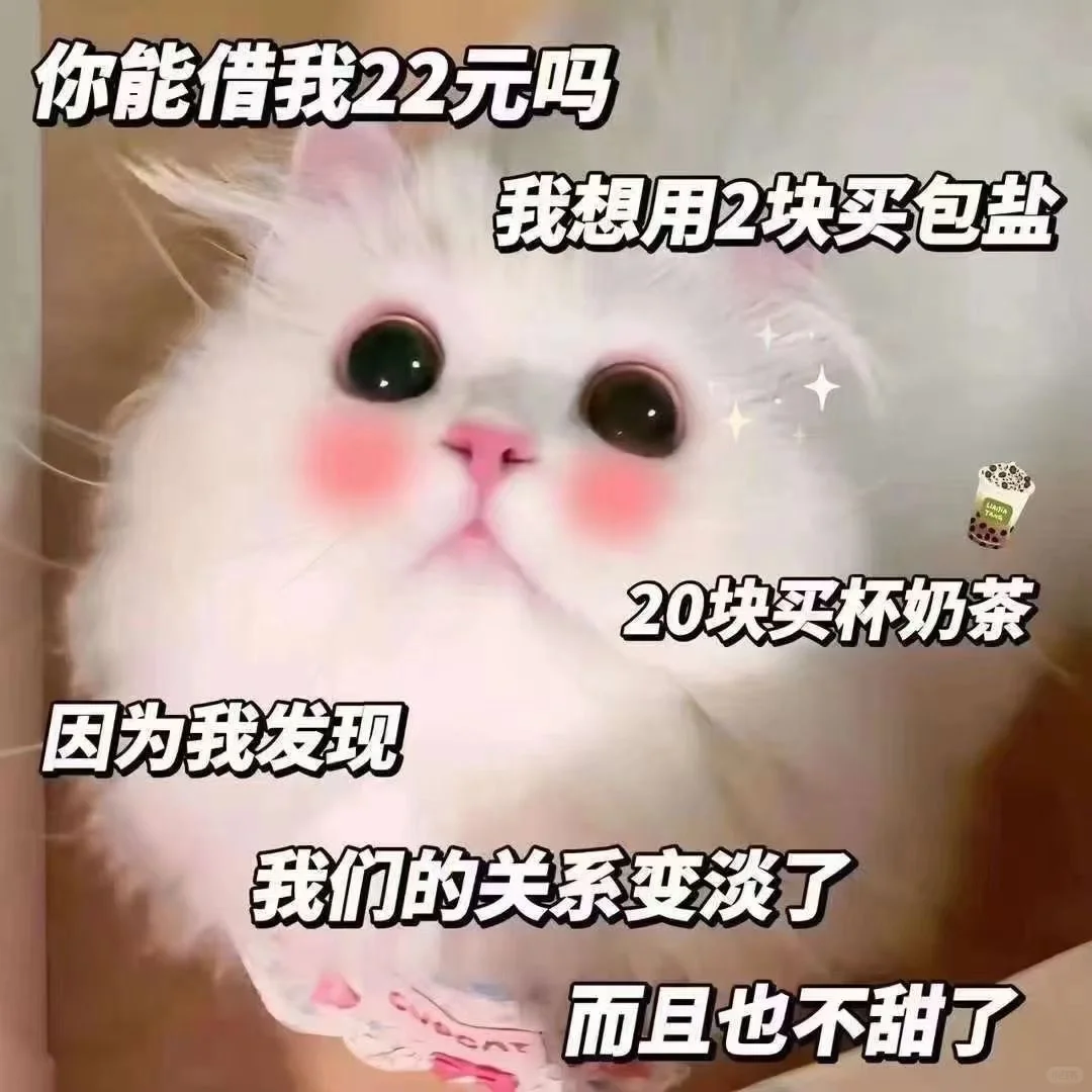 猫咪表情包太可爱了吧