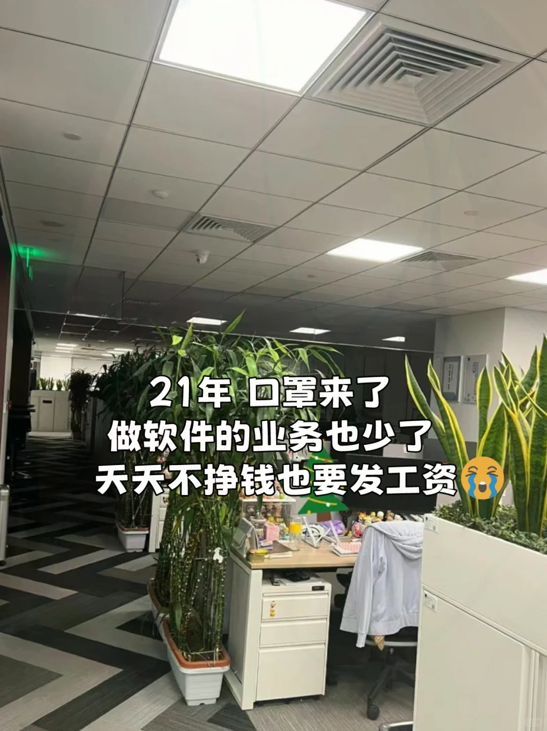 进来看34岁女码农⬇️做软件十年✅三起三落