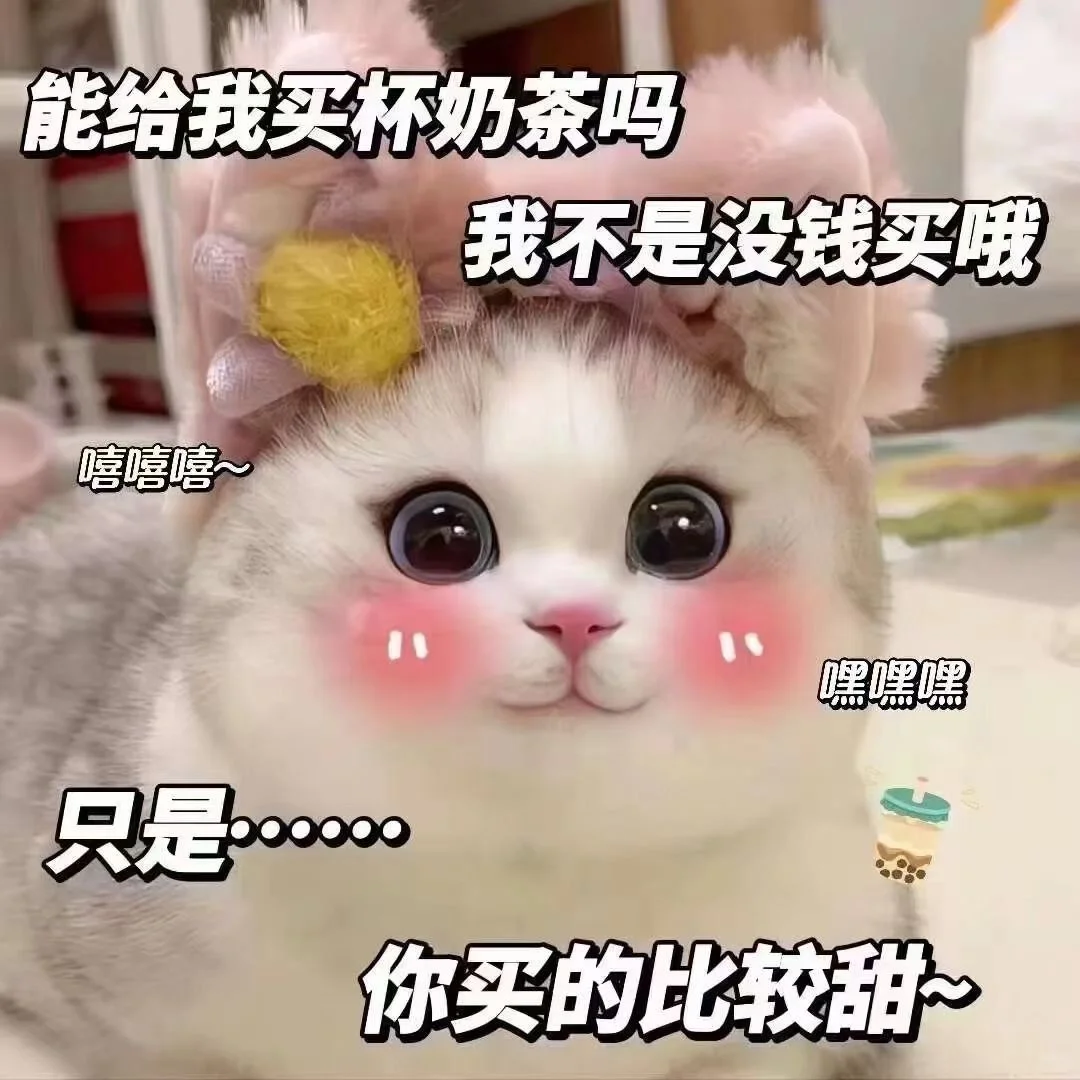 猫咪表情包太可爱了吧