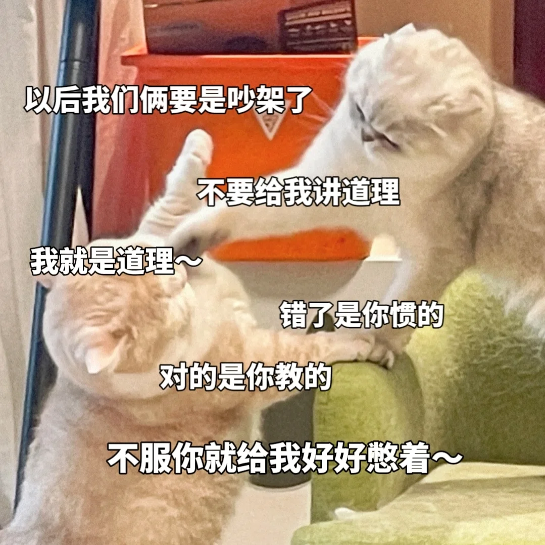 敲可爱猫咪表情包