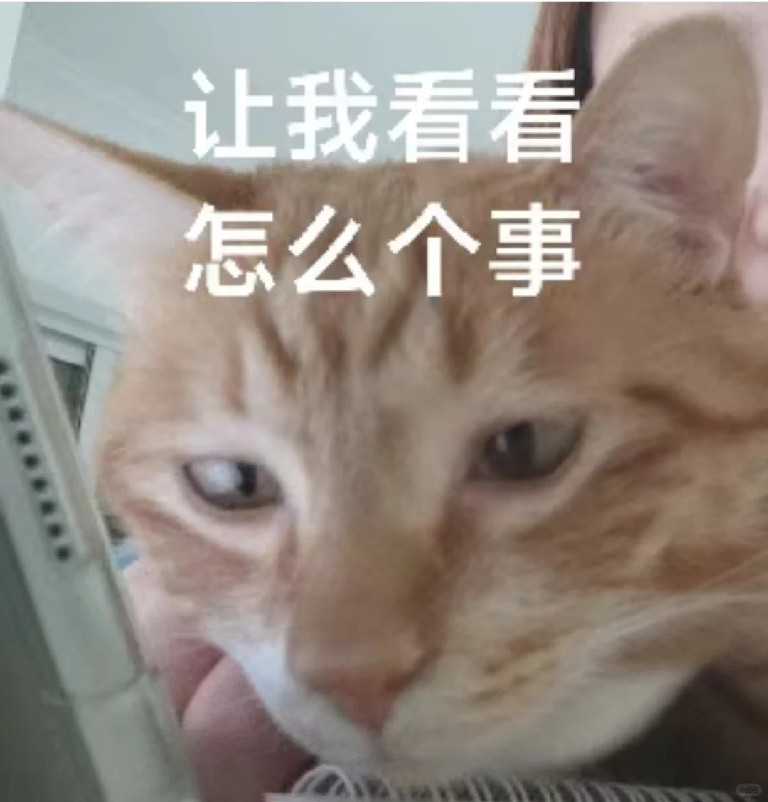 爱猫就把它做成表情包?