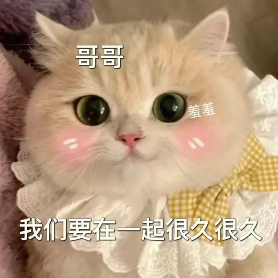 滴滴滴~存表情包啦~