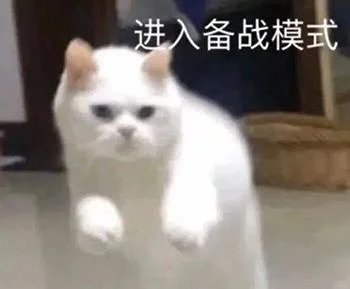 猫猫表情包（乱七八糟）