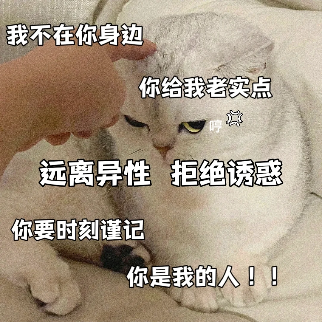 敲可爱的猫咪表情包