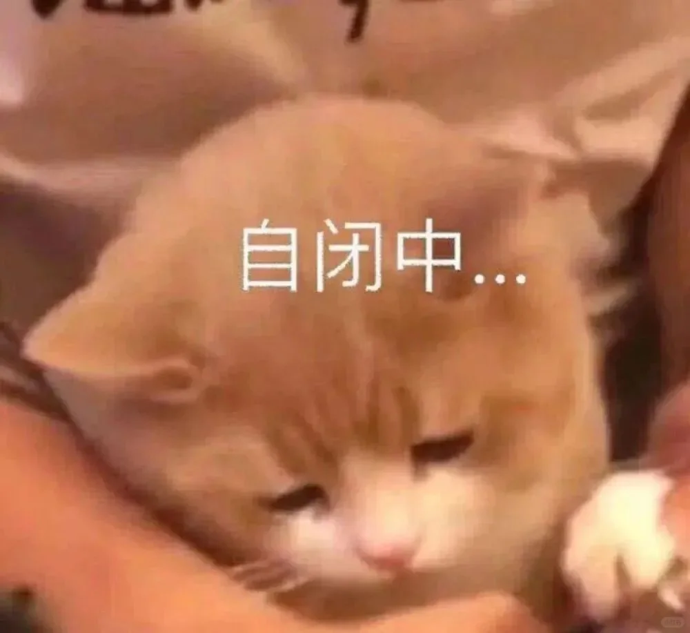 太萌了❤️可爱猫猫表情包2️⃣