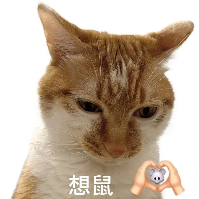 太萌了❤️可爱猫猫表情包2️⃣