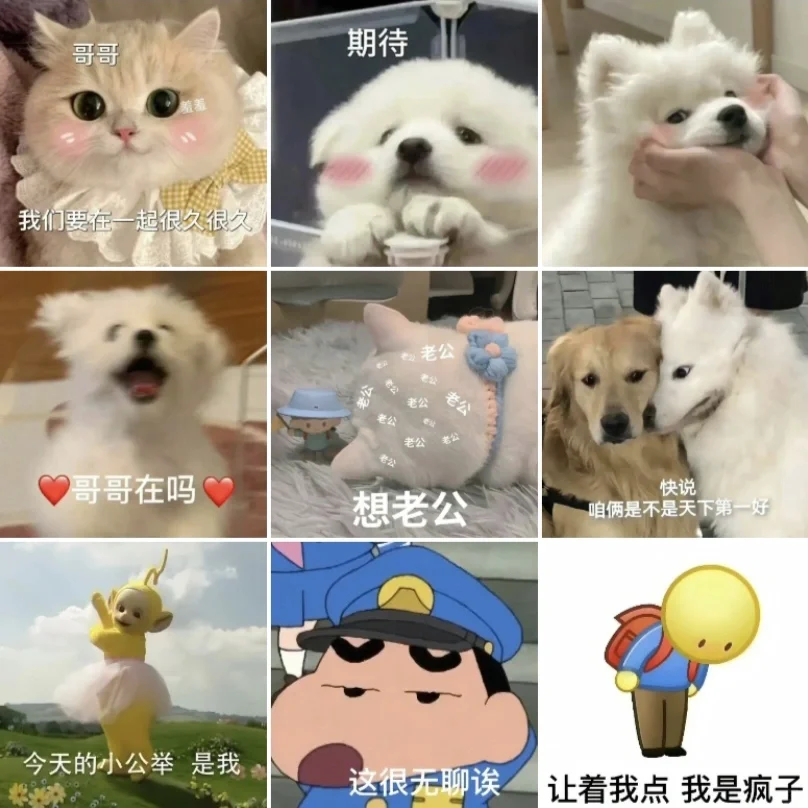 滴滴滴~存表情包啦~