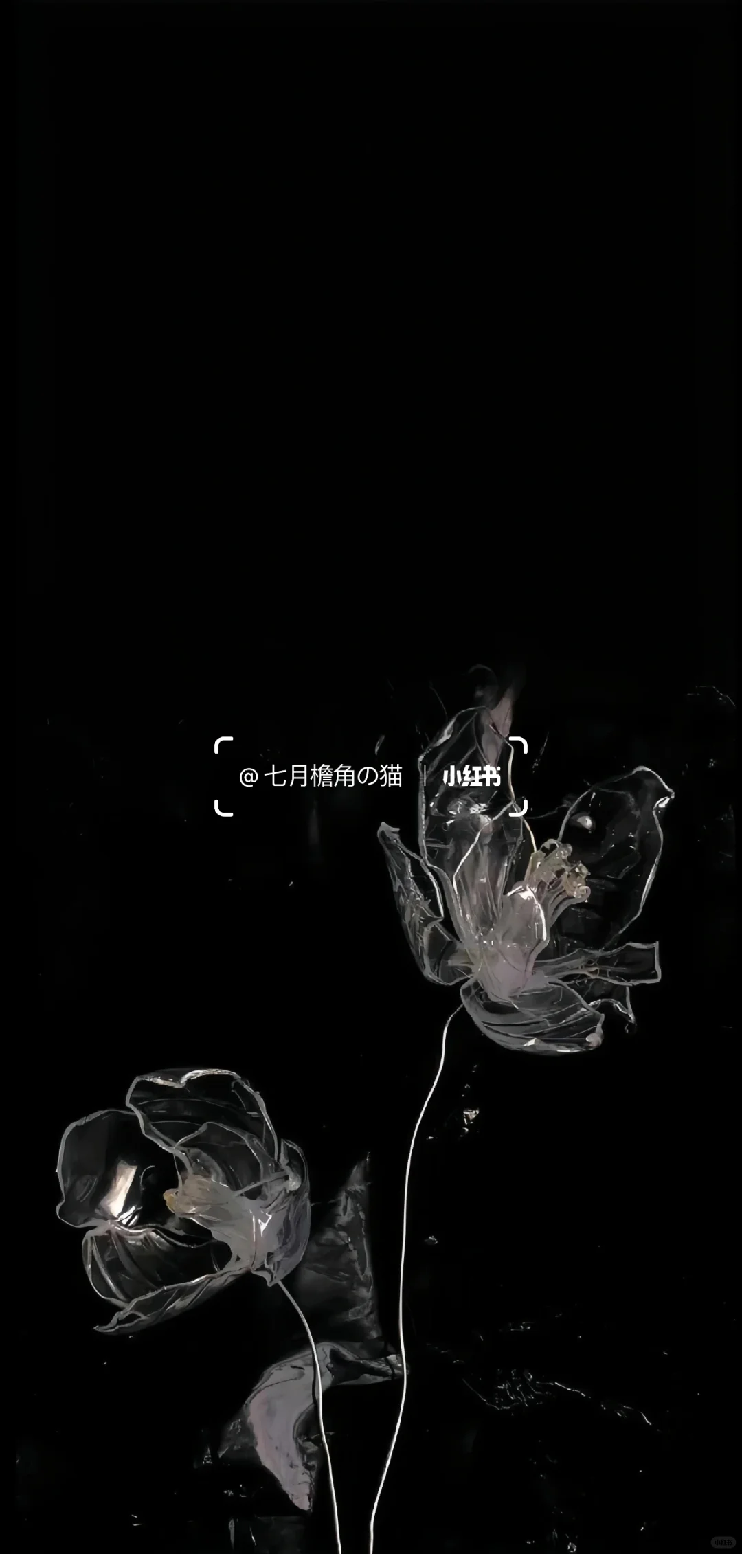 暗黑系壁纸 | 让你的锁屏更高级