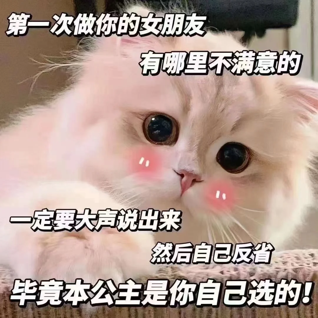 猫咪表情包太可爱了吧