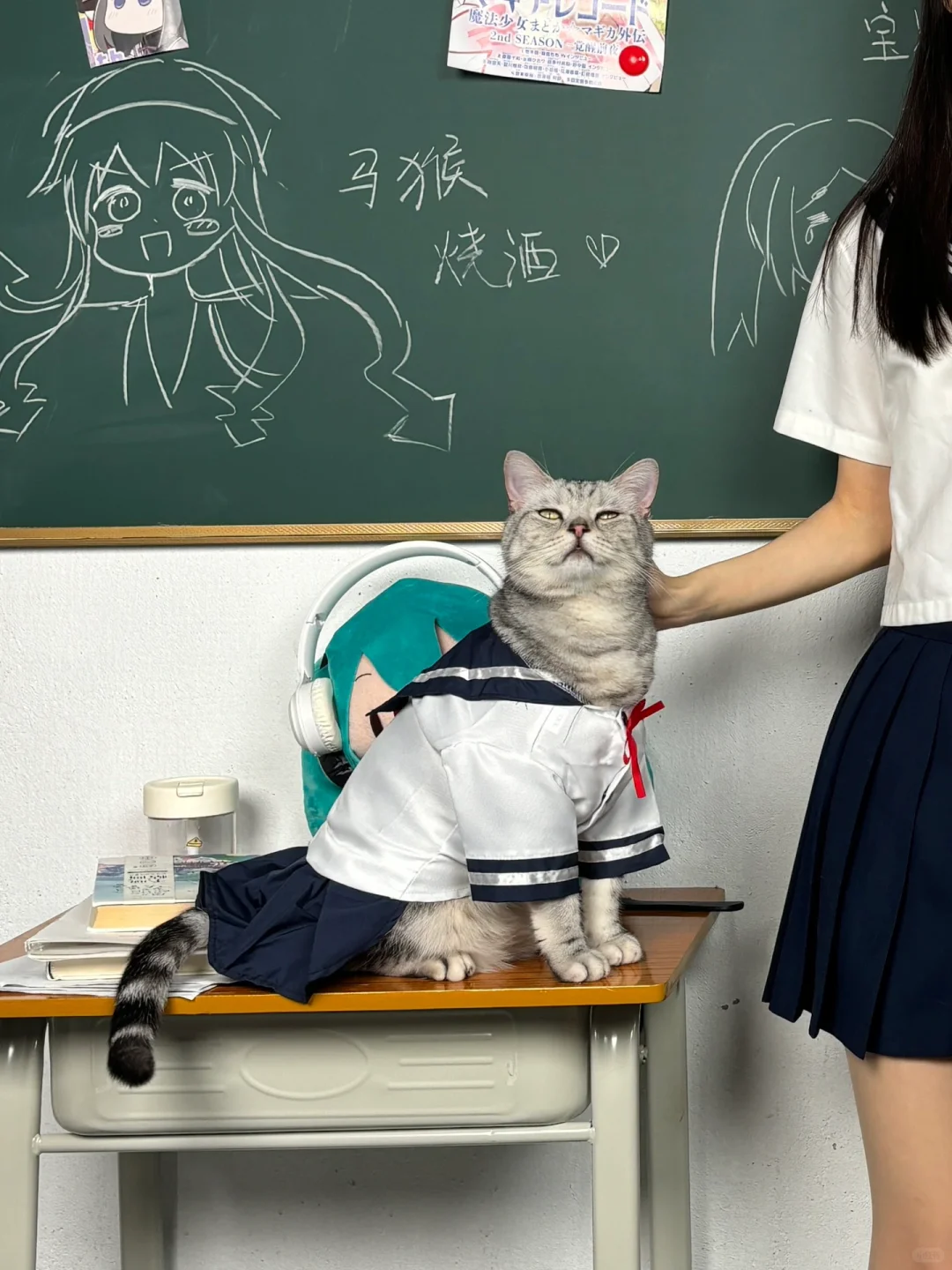 jk日常｜和我的小猫穿水手服亲子装！