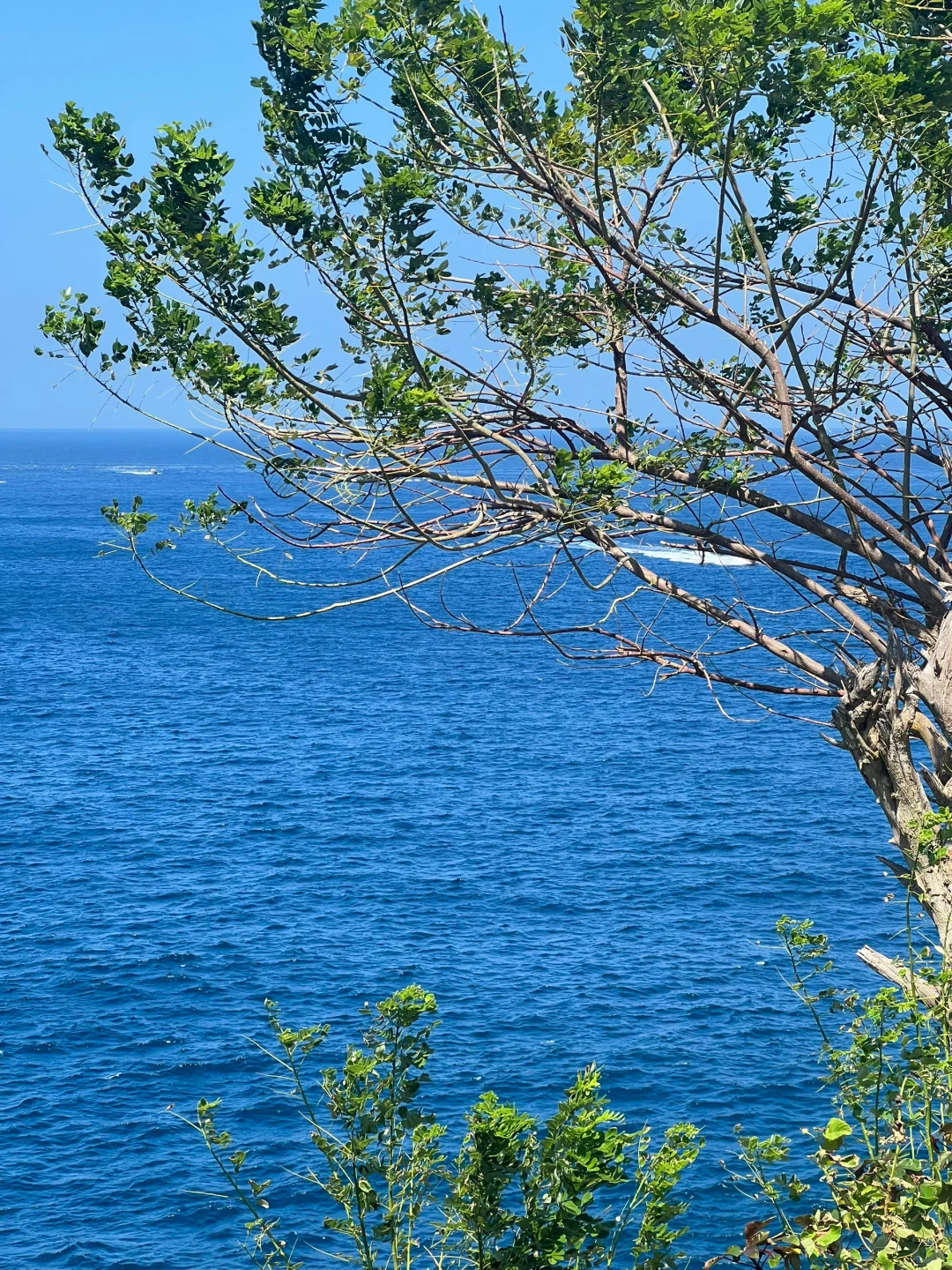 ?BALI-Nusa Penida 巴厘岛苹果壁纸拍摄地