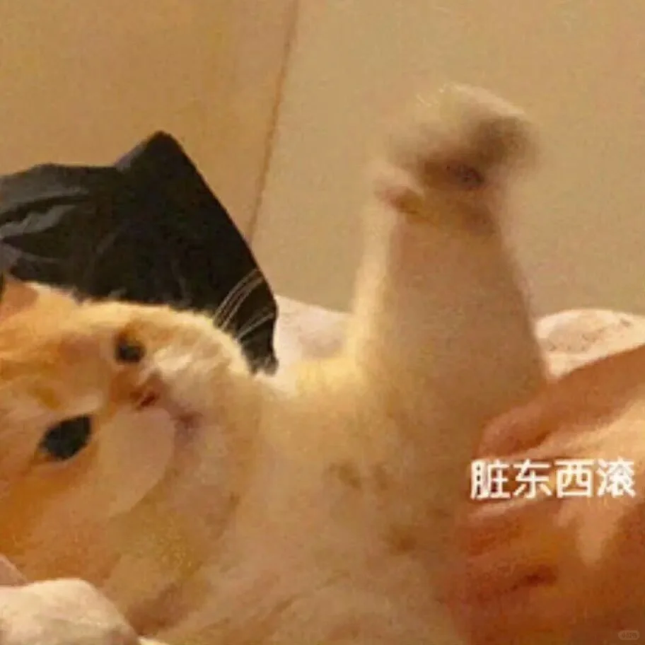 我看是谁还没有猫猫表情包