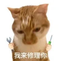 ?｜白底猫猫表情包