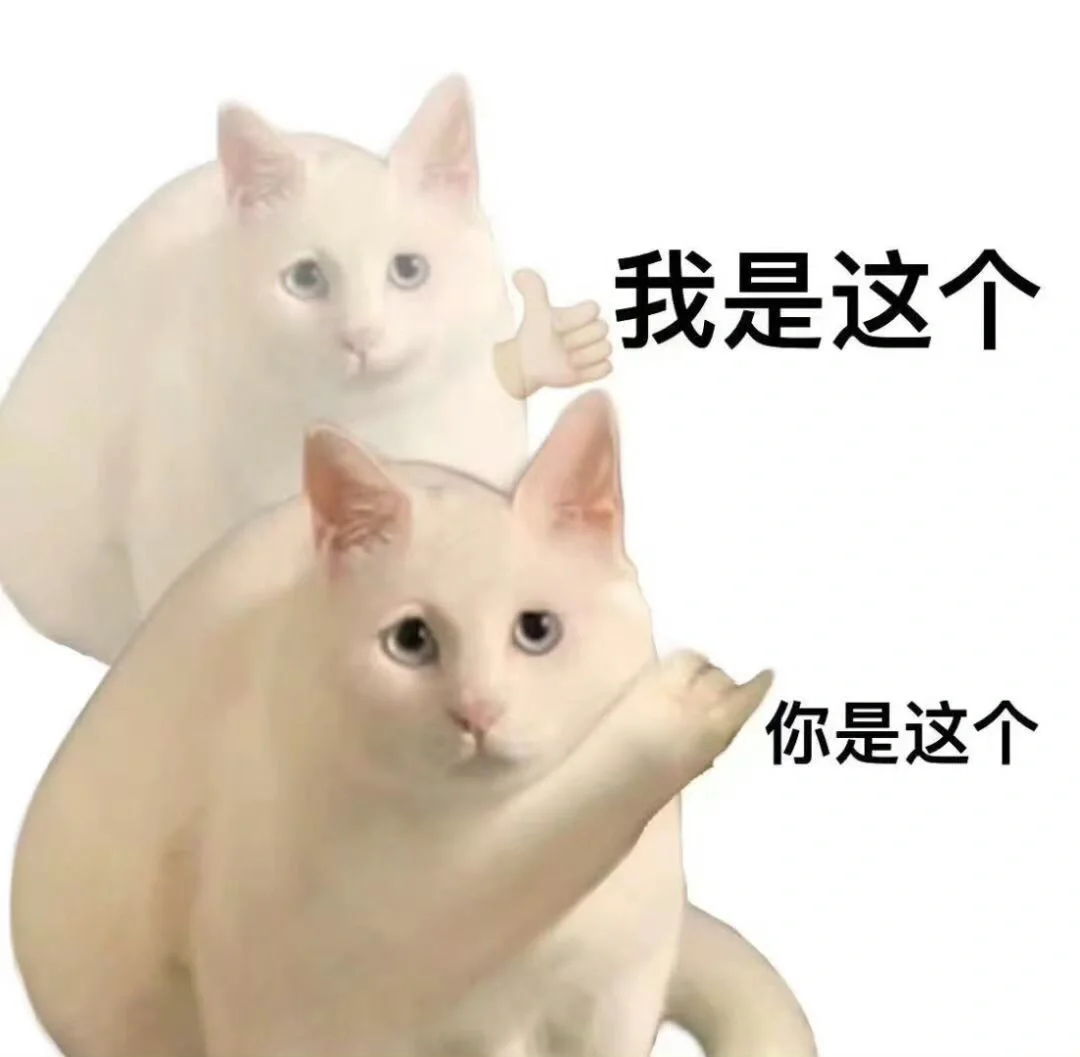 我看是谁还没有猫猫表情包