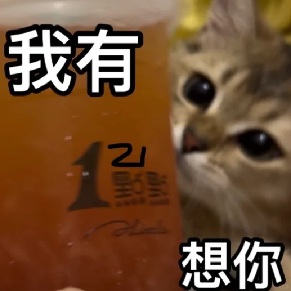 小猫咪情头 表情包