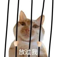 ?｜白底猫猫表情包