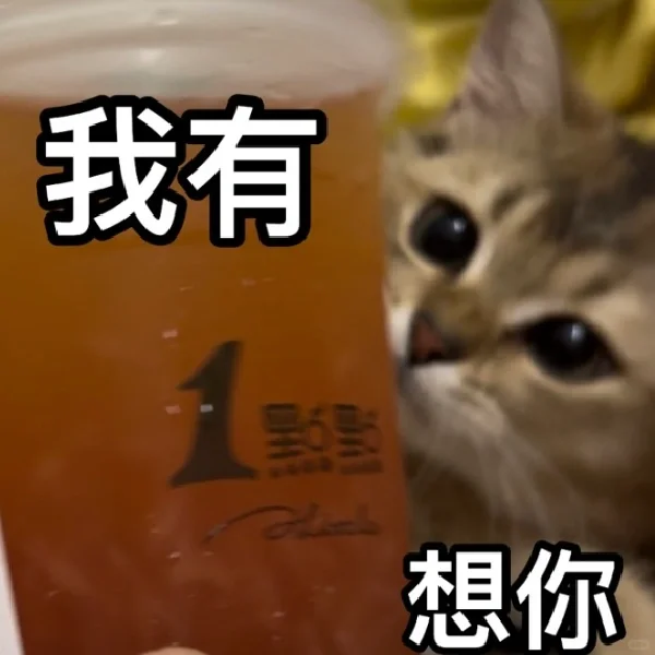 小猫咪情头 表情包