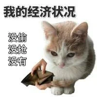 ?｜白底猫猫表情包