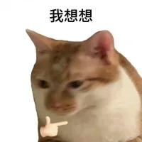 ?｜白底猫猫表情包