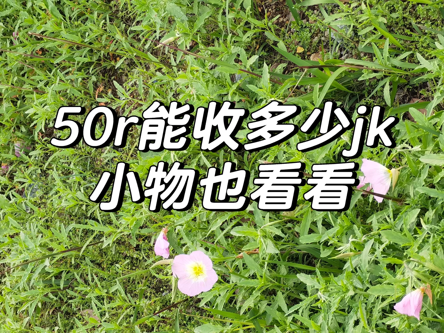 收烂白菜jk，S/m码