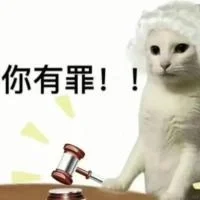 ?｜白底猫猫表情包