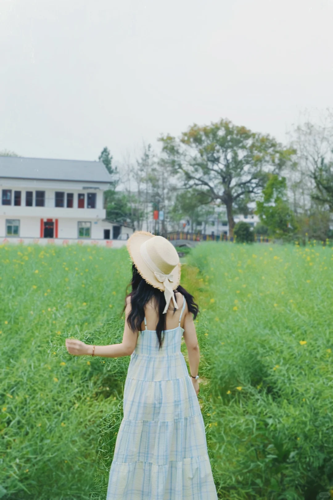 田园风写真?