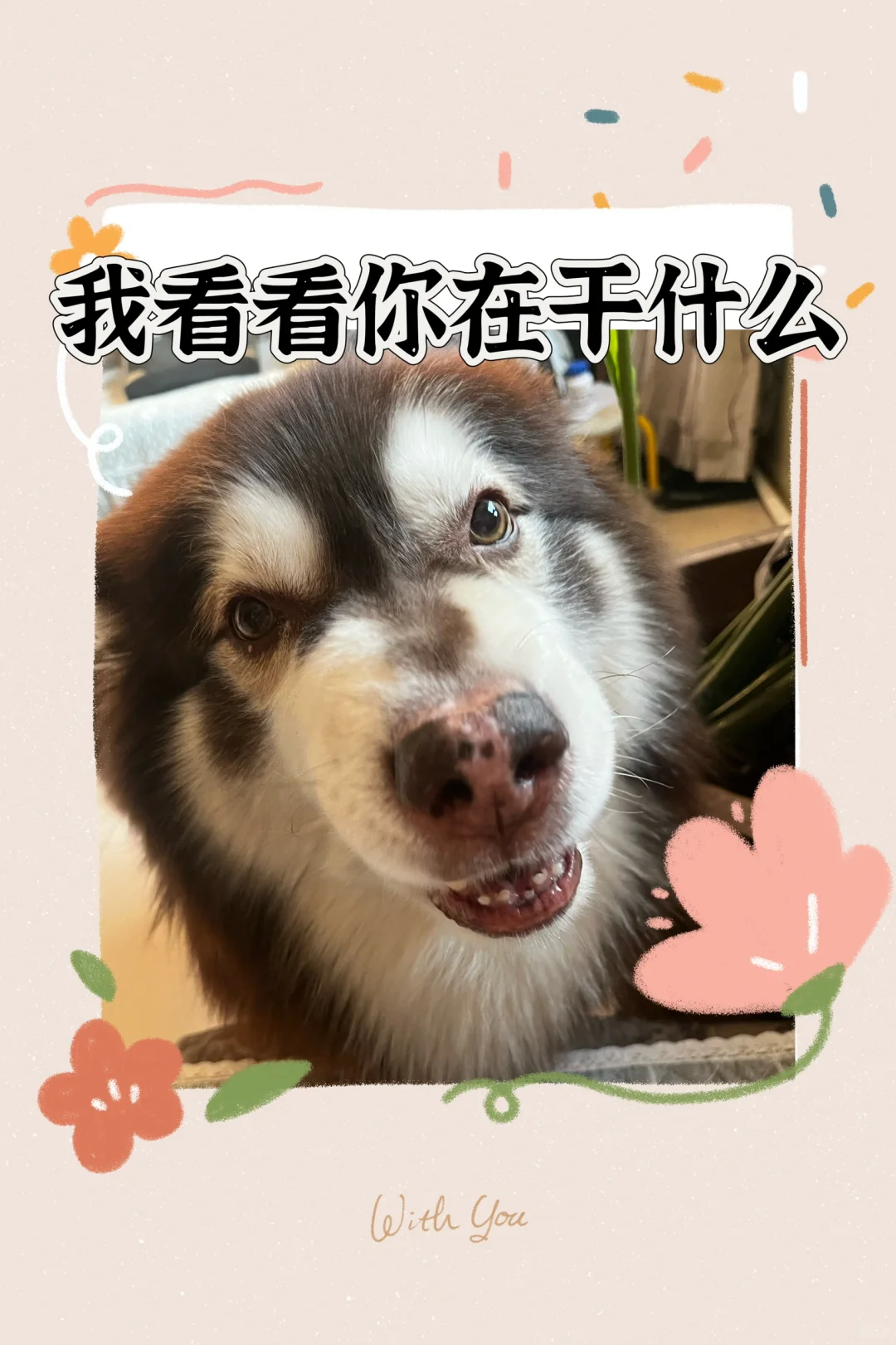 小狗表情包