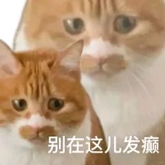 ?｜白底猫猫表情包