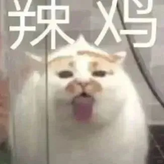 猫猫表情包?