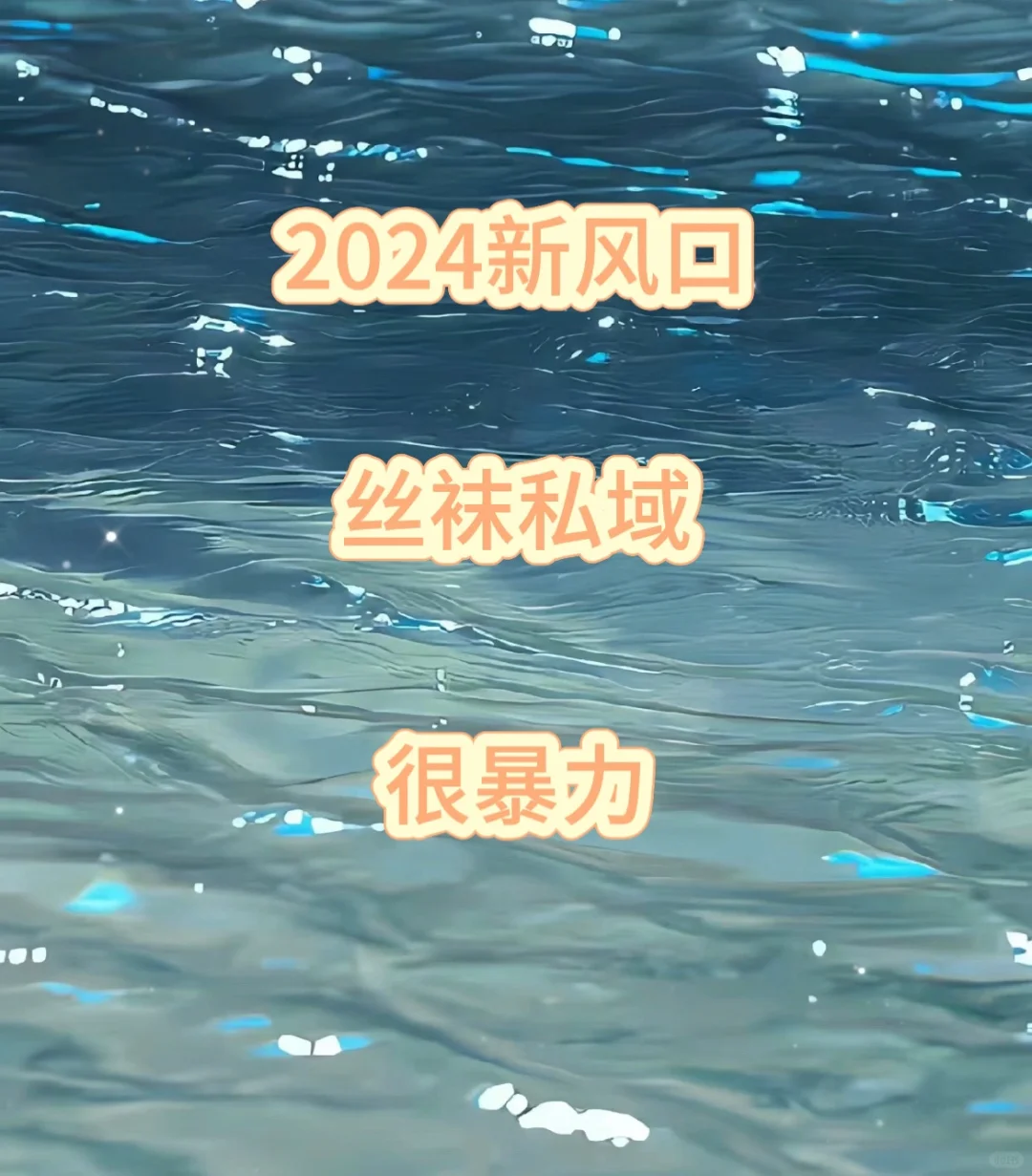 2024新模式 私域➕丝袜