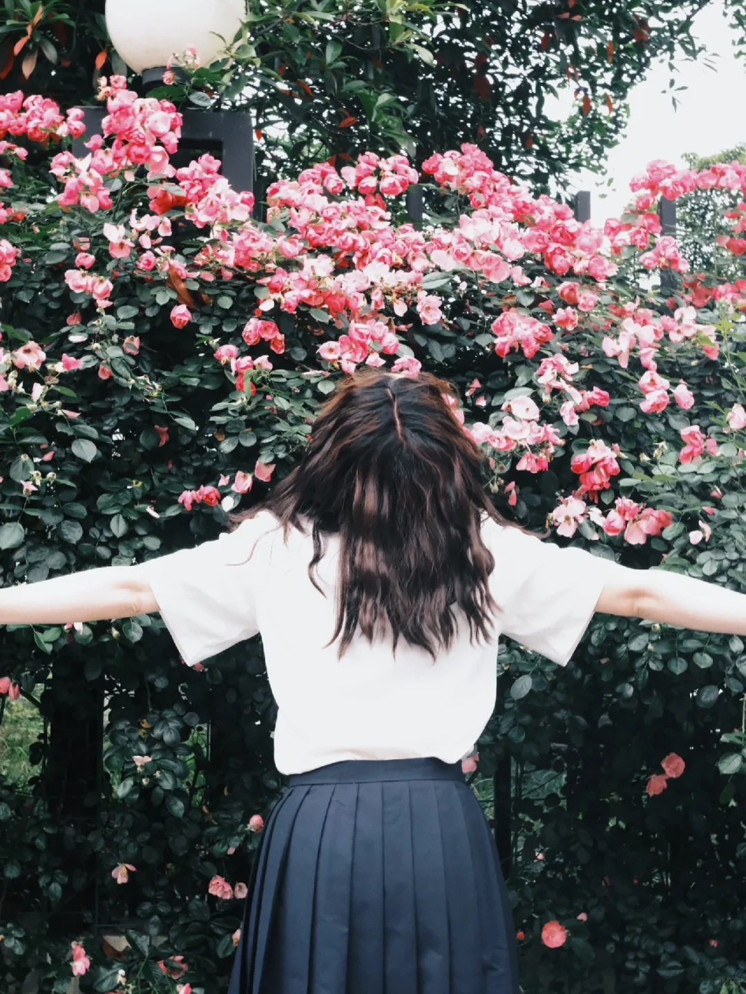 我看谁还没去拍蔷薇花制服少女