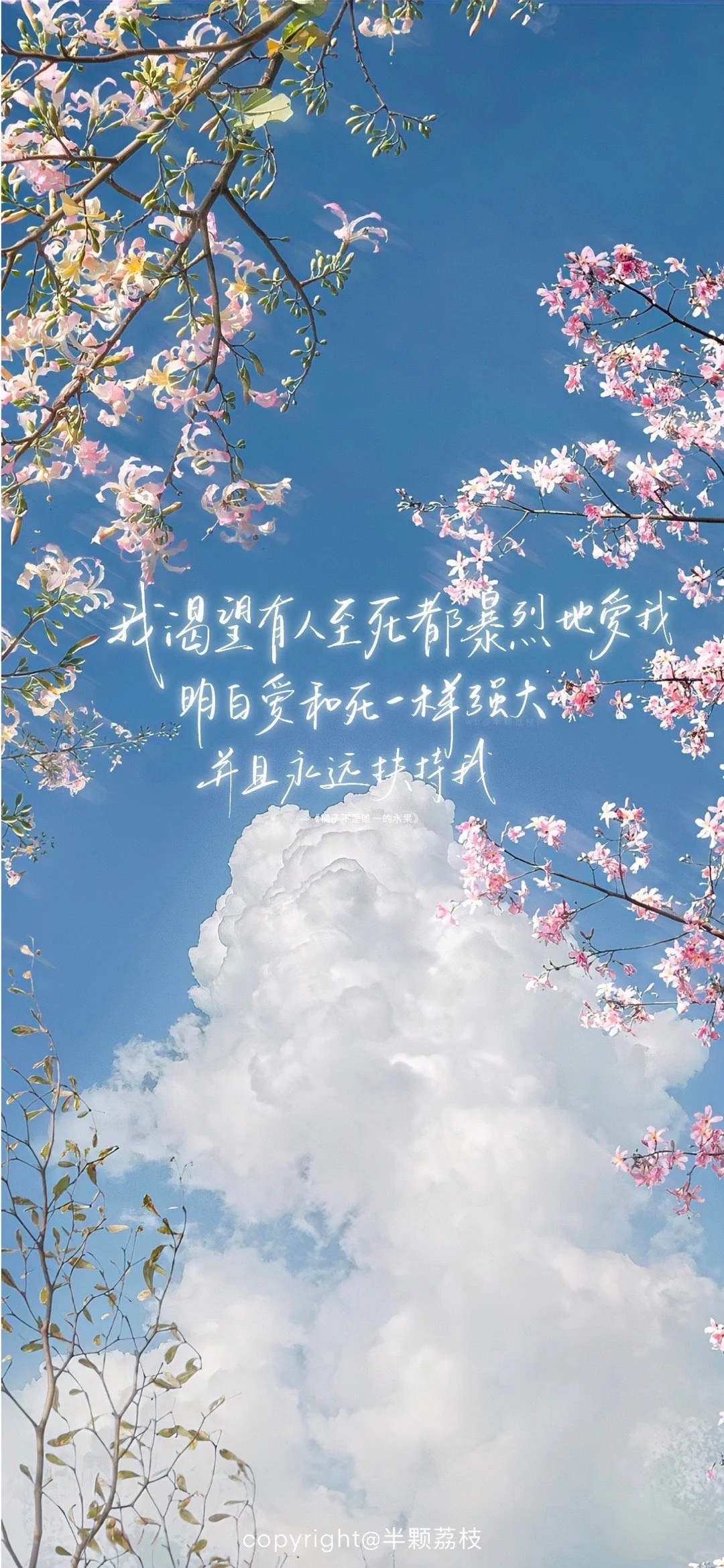 分享一些文字系壁纸