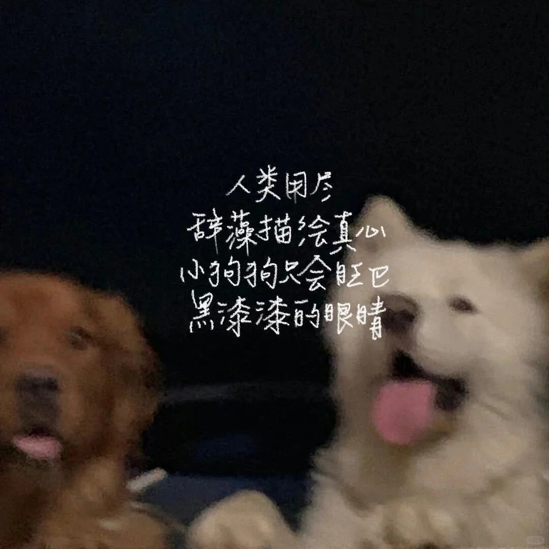 分享一些文字系壁纸