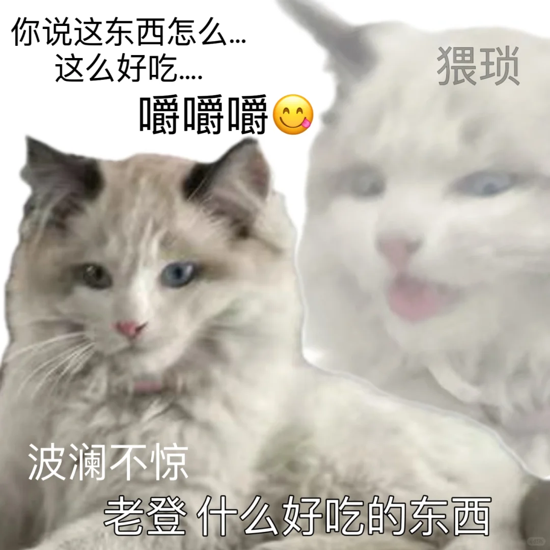 古希腊掌管猫咪表情包的神！