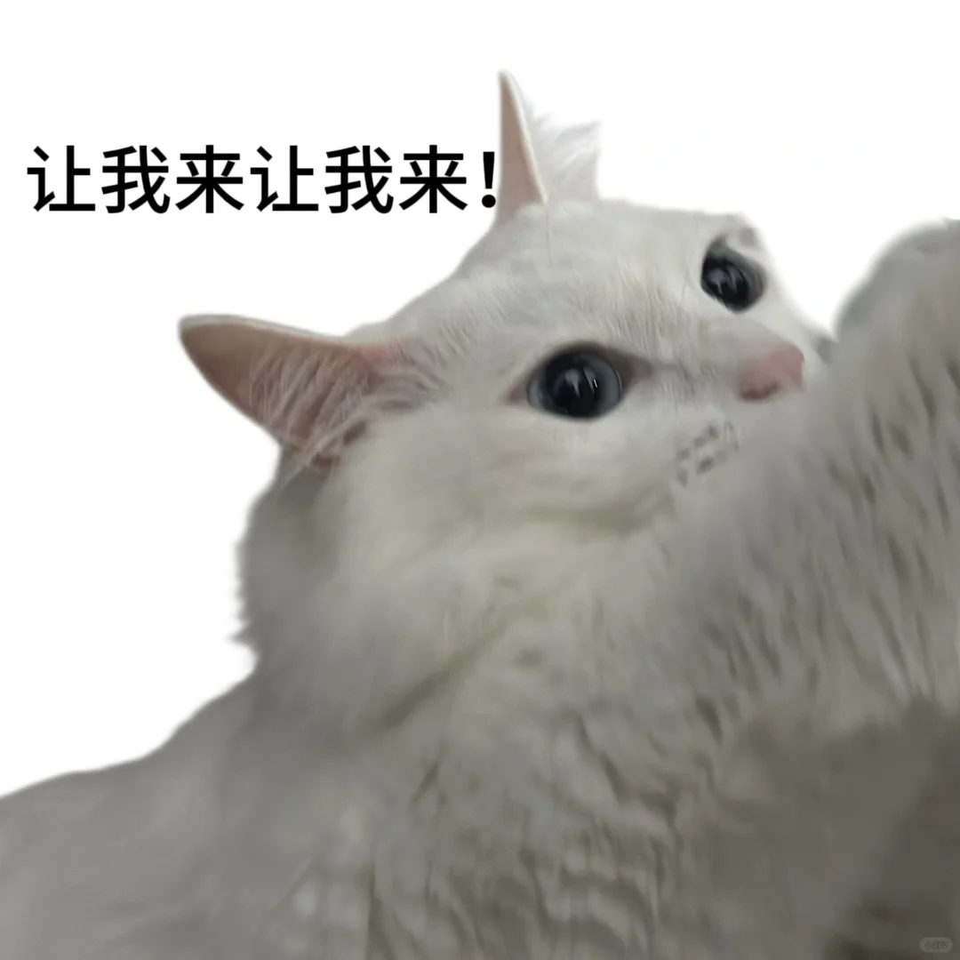 表情包‖猫咪表情包第三弹