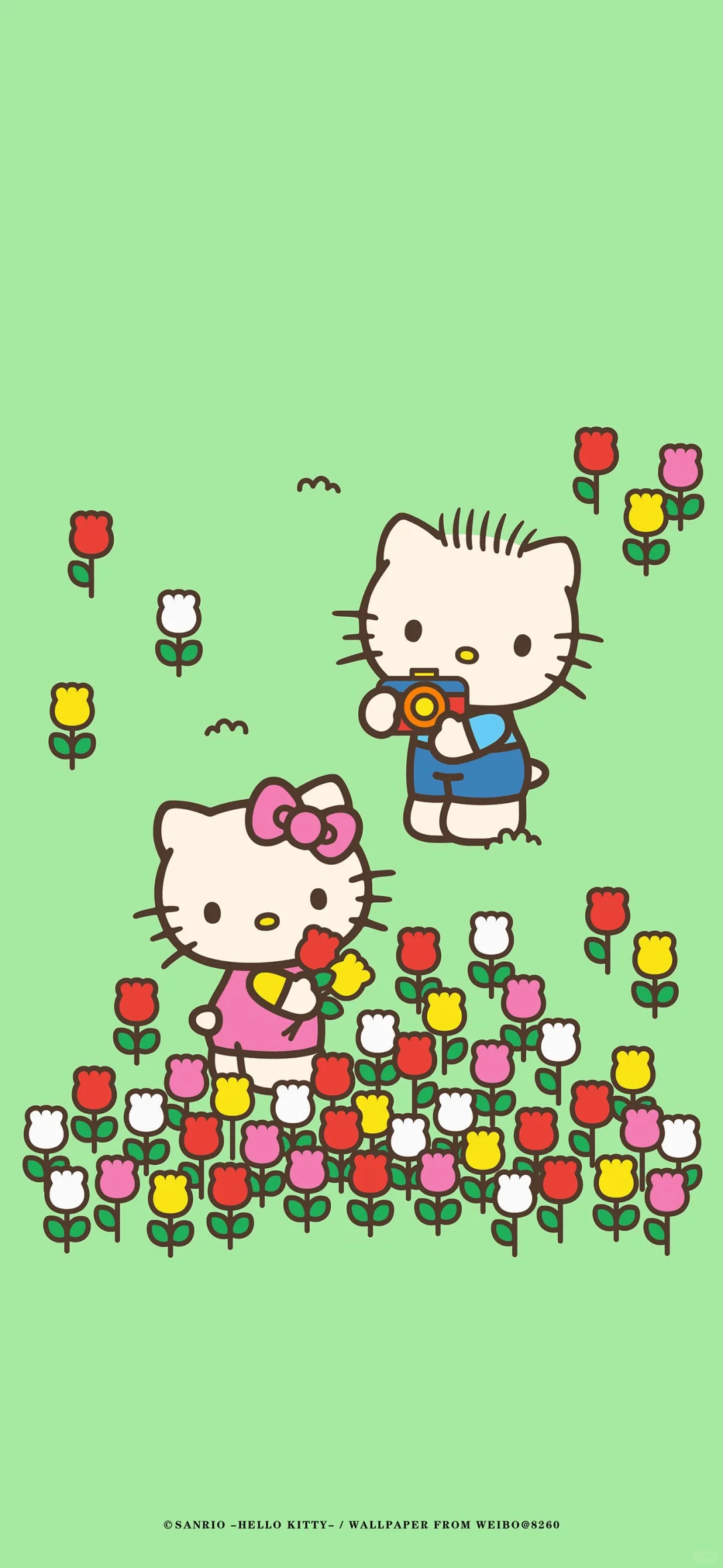 新颖壁纸-整套HelloKitty