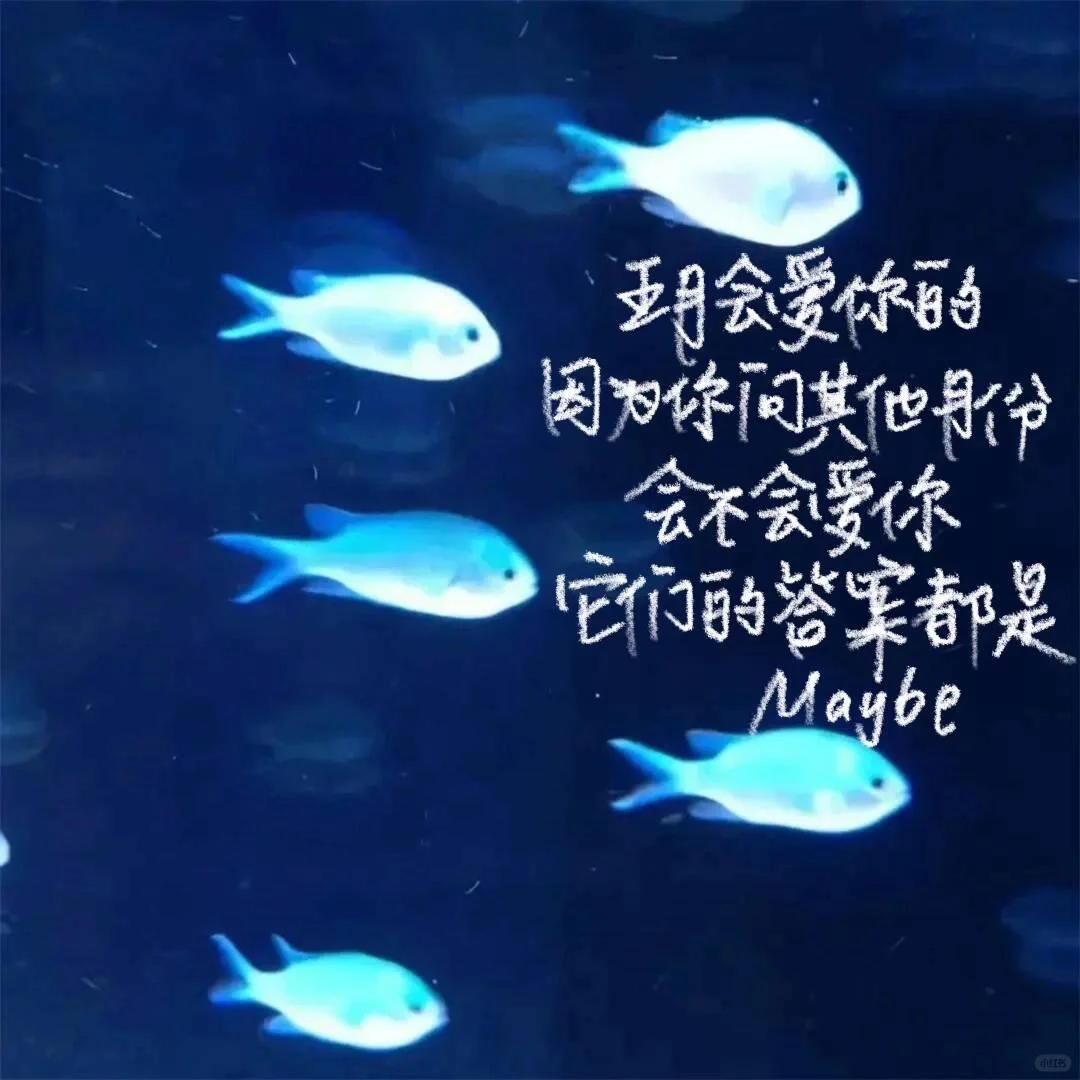 分享一些文字系壁纸