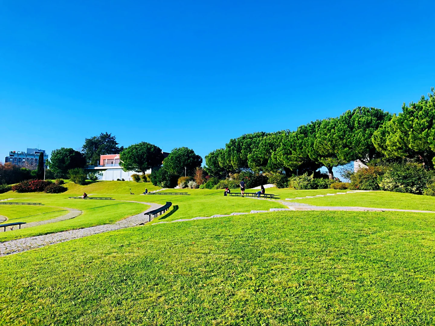 葡村壁纸来了