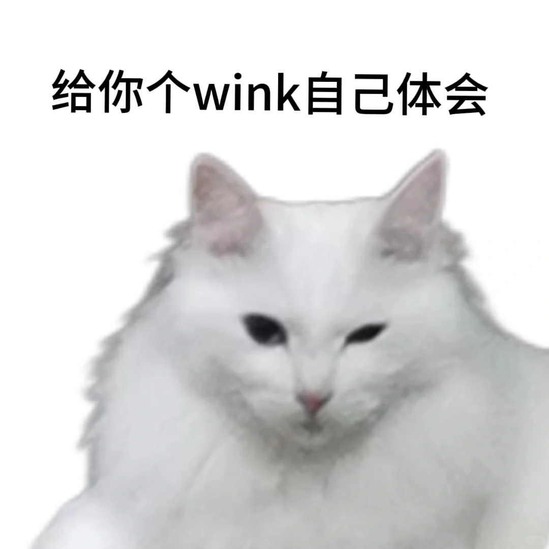 表情包‖猫咪表情包第三弹