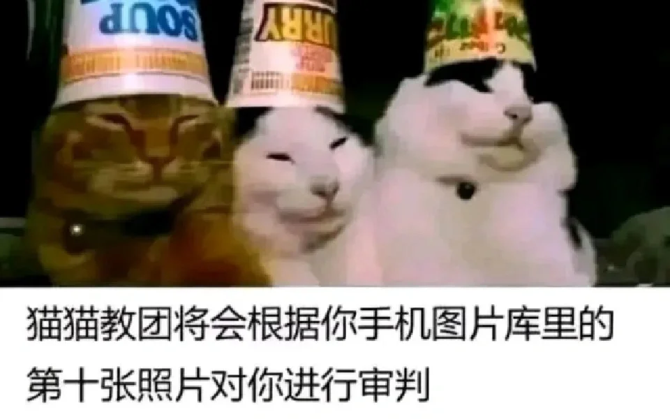 存一些猫猫精神状态meme梗图2.0