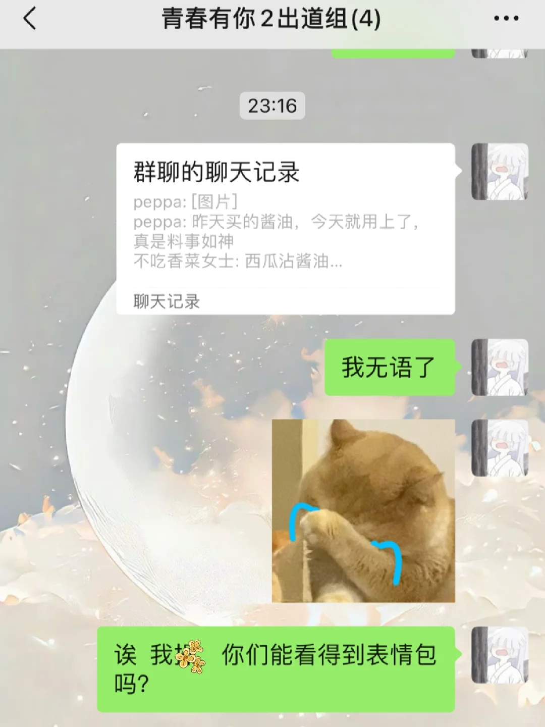 天 聊天记录有表情包了