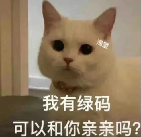 猫咪表情包分享第十七天